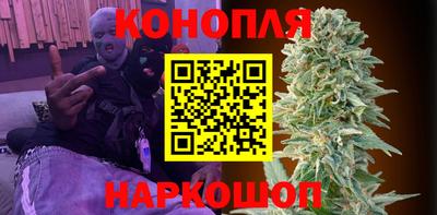 спиды Заводоуковск