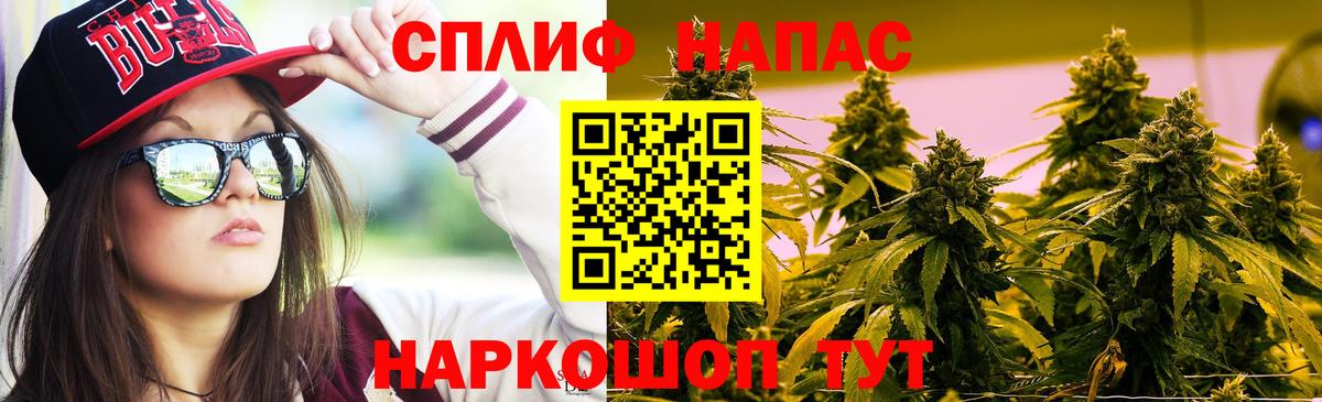 Бошки Шишки план Череповец